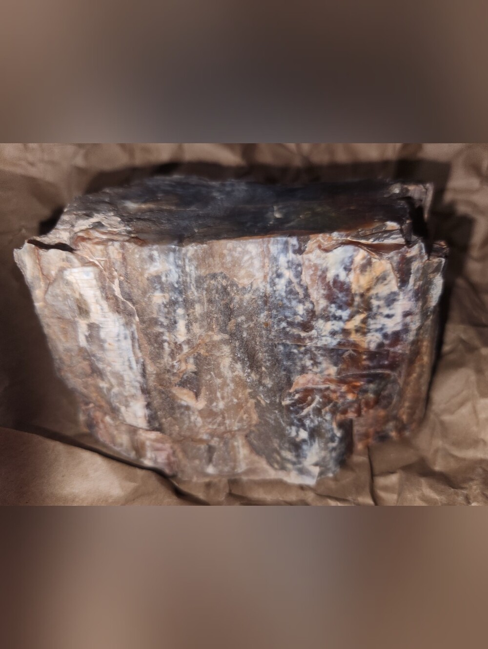 NATURAL PETRIFIED WOOD RAINBOW, As Shown In Photos